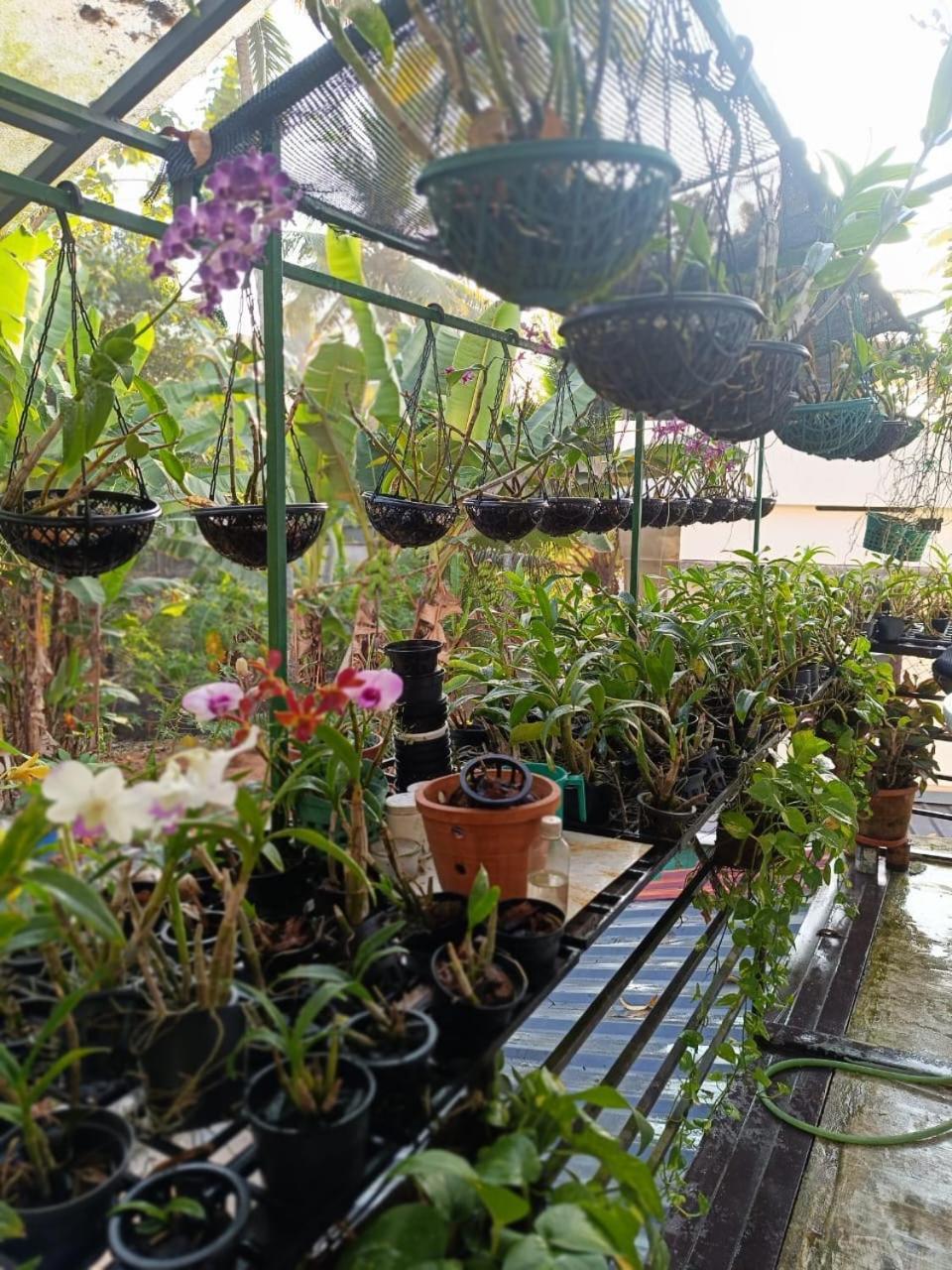 Chaithritha Ladies Homestay Thiruvananthapuram Kültér fotó